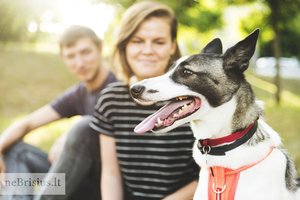 Sunki pradžia neišgąsdino Ugnės ir Edgaro: meilė Gojai buvo nuo pirmo žvilgsnio