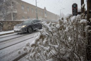 JAV užklupo pūga: atšaukti šimtai skrydžių, vienas žmogus žuvo