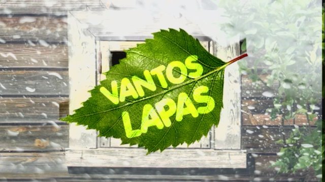 Vantos lapas 2018-12-29