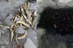 Košmaras po ledu: vandens telkiniuose – mirties pinklės