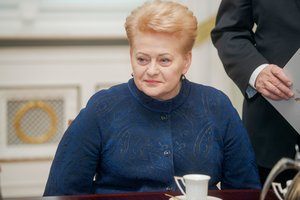 Paskelbė, į kurias šalis šiemet vyks Dalia Grybauskaitė