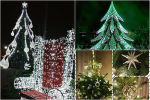 Gražiausios Lietuvos eglės rinkimuose – netikėtas posūkis: Vilnius ir Kaunas liko už nugaros