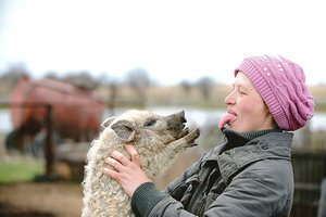 Lietuviai papasakojo, ar lengva gyventi turint su kiaule susijusią pavardę