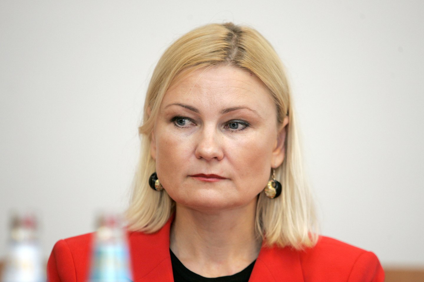 Ekonomistė Rūta Vainienė.<br>V.Balkūno nuotr.