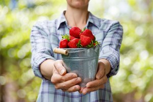 Verslo Lietuvos kaime startuolių – kone pusė tūkstančio, jie prašo 7 mln. eurų