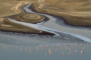 Ežeras-žudikas, gyvybę verčiantis akmeniu