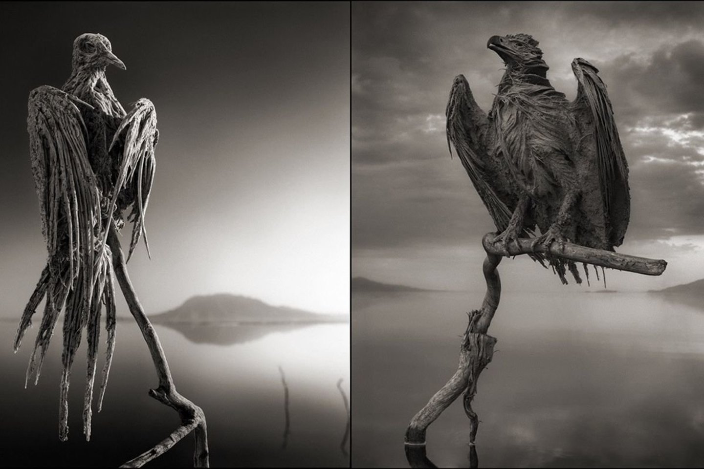 Fotografas Nickas Brandtas net padarė specialią fotosesiją, sustatęs mumifikuotus kūnus taip, kaip jie stovėtų tarsi gyvi.<br> Nicko Brandto nuotr.