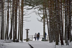 Klaipėda-Nida maršrutu plukdančio katamarano teks laukti dar metus