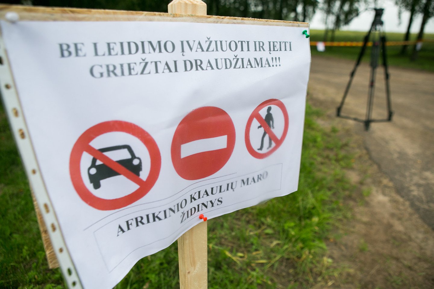 Kaimyninėje Baltarusijoje prasidėjus afrikinio kiaulių maro epidemijai Lietuvoje buvo minčių nutiesti tvorą palei visą pasienį. Bet tai nebuvo padaryta. Užtat danai šitaip nusprendė saugotis nuo vokiškų šernų.<br>G.Bitvinsko nuotr.