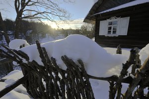 Pensininkė tik po švenčių pastebėjo kai ką siaubingo: ašaros smaugia gerklę