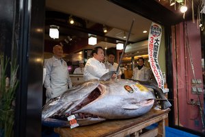 Japonijos sušių karalius už milžinišką tuną sumokėjo 2,7 mln. eurų 