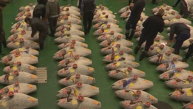 Naujas rekordas Japonijoje: sužinoję, kiek sumokėjo už tuną – neteko žado