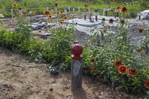 Panevėžyje planuojamos naminių gyvūnų kapinės