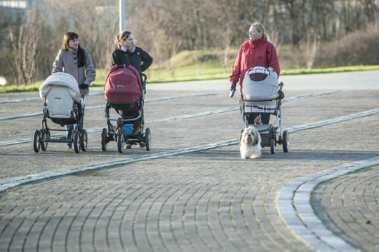 Patikslino vietovių sąrašą, kur jaunos šeimos galės įsigyti būstą ir gauti paramą
