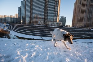 Garsusis futuristas: vyksta kažkas negero ir su valstybėmis, ir su mumis pačiais 