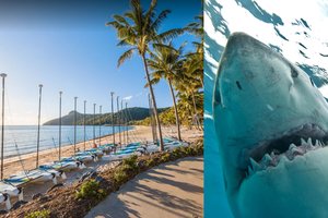 Turistų rojuje – siaubingų įvykių virtinė: plėšrūnas dantimis griebė moterį ir vaiką