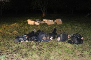 Pasieniečių sulaikytų kontrabandinių cigarečių skaičius išaugo beveik perpus