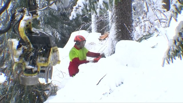 Europoje siaučia stichija – dėl sniego žuvo mažiausiai 14 žmonių