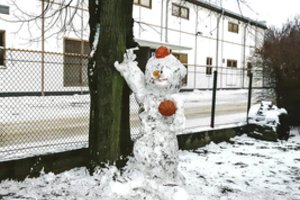 Sniegas išlaisvino fantaziją:  kai kurie lipdiniai net supykdė kauniečius 