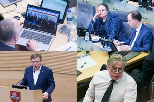 Kasdienės Seimo rietenos – spjūvis ant Sausio laužų?