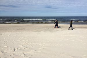 Lenkija Aismarėse planuoja kurti daugiau kaip 180 ha dirbtinę salą