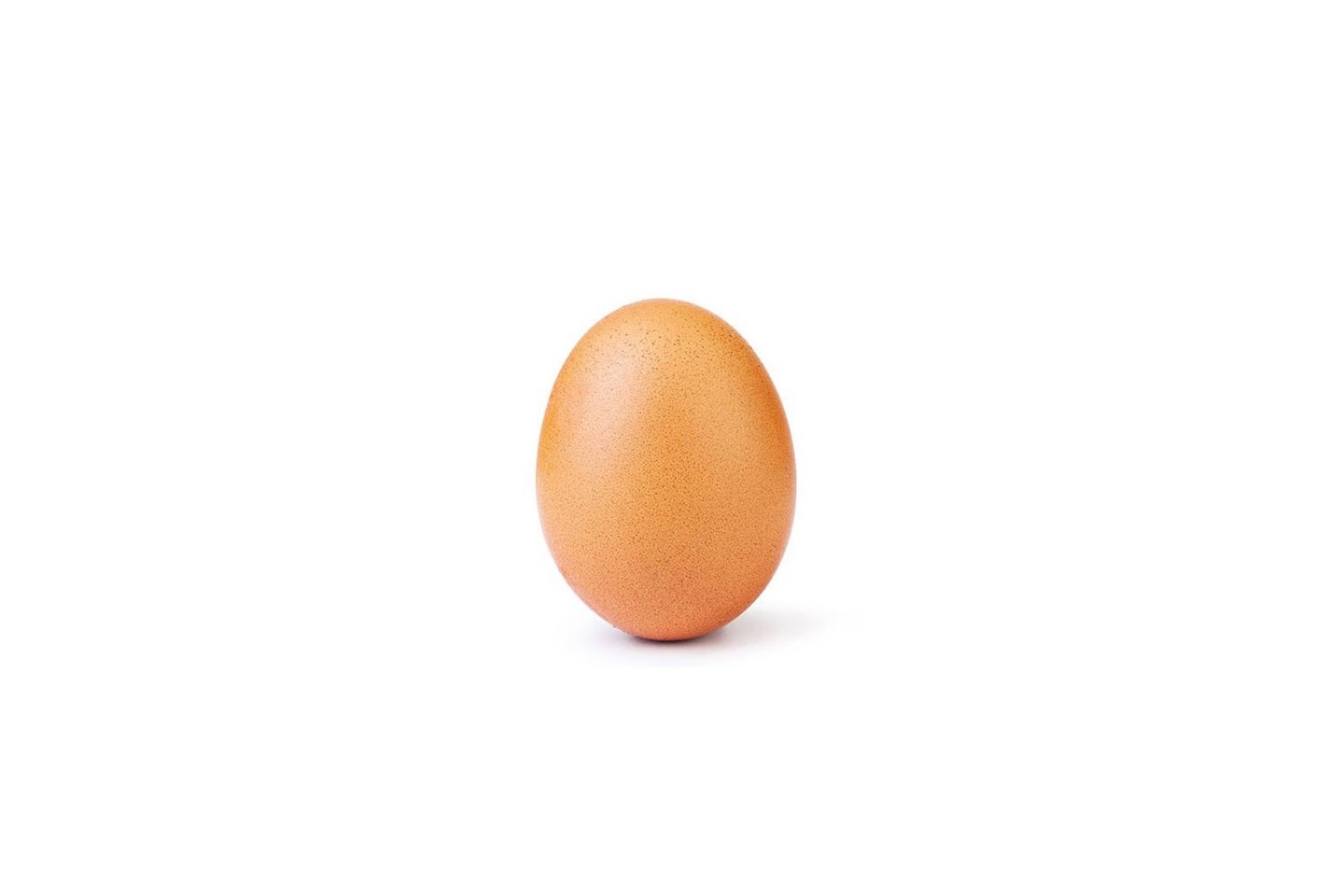  Pirmadienio vidurdienį šią nuotrauką kaip mėgstamą jau buvo pažymėję daugiau nei 25 milijonai vartotojų.<br> Egg Gang nuotr.