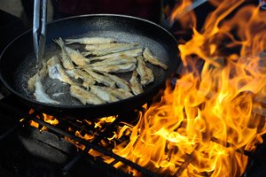 Mokslininkai ramina stintų mėgėjus: šių žuvų daugėja