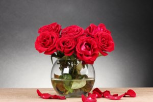 9 dienų  eksperimentas: dabar tiksliai žinau, ką daryti, kad gėlės ilgai nevystų  