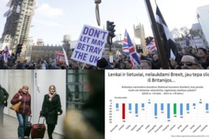 Lietuviai ir lenkai nelaukė balsavimo dėl „Brexit“: šimtai žmonių spruko namo