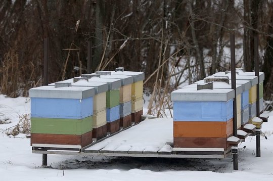 Kėdainių rajone išniekintas bičių ūkis