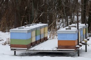 Kėdainių rajone išniekintas bičių ūkis