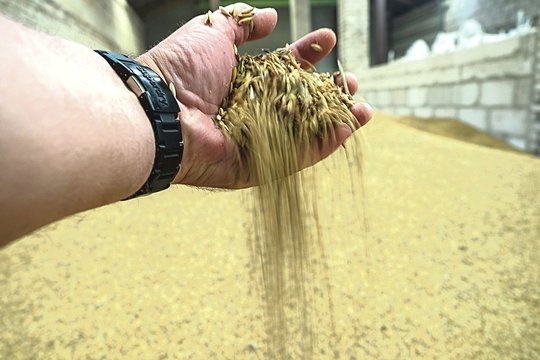 Ekologai sėdi ant teisės aktų parako: žemdirbiai net pradėjo įskundinėti vieni kitus