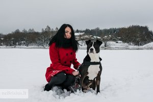 Noras pakeisti bent vieno beglobio šuns gyvenimą Sandrą atvedė pas Stepą