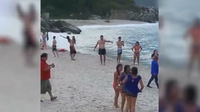 Poilsis pliaže tapo pragaru – turistai puolė į paniką ir skubėjo bėgti