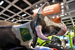 Parodoje „Žalioji savaitė“ Berlyne – 80 kg sveriantis lietuviškas sūris