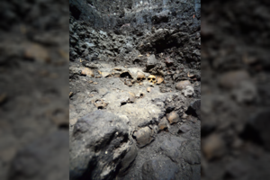 Po didmiesčiu rasti šimtai kaukolių užminė mįslę archeologams