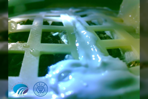 Nedžiuginančios naujienos apie gyvybę už Žemės ribų