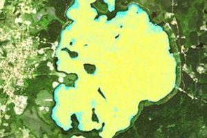 Iš kosmoso įamžintas Platelių ežero žydėjimas