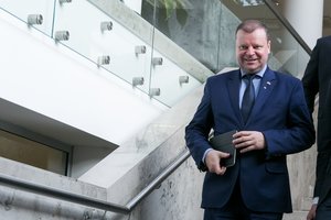 Prezidento posto siekti nusprendęs S. Skvernelis įgėlė D. Grybauskaitei