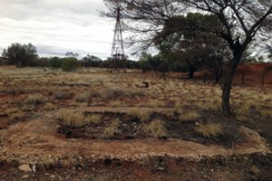 Australijos policija rado dingusios vokiečių turistės palaikus