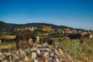 Tai ne pokštas:  Sicilijos saloje namai  parduodami  po 1 eurą 
