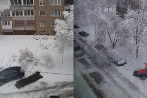 Sniego neatlaikę Klaipėdoje virsta medžiai, šakos lūžta ant automobilių