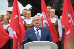 Premjero postu gundomas Visvaldas Matijošaitis turi kitų minčių