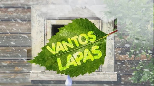 Vantos lapas 2019-01-19