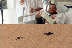 Po Dakaro ralyje sužaloto Balio Bardausko operacijos pasirodė šiurpus kopos-žudikės įrašas