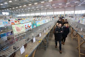 Didžiausioje Baltijos šalyse gyvūnų parodoje – rekordinis vaikų piešinių skaičius