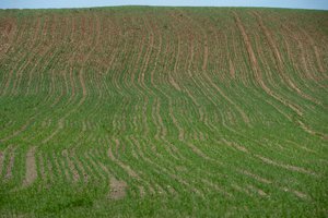 Žemės nuosavybės teisių atkūrimas kaime – iš esmės baigtas