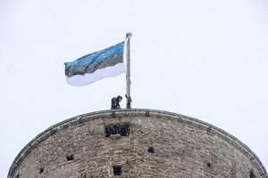 Estės surengė pirmąsias šalyje eitynes prieš diskriminaciją dėl lyties