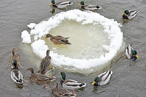 Pasigrožėkite kadrais, kuriuos užfiksavo Vilniuje paupiu ėjęs fotografas