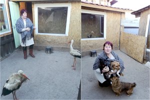 Išmesti senųjų ir laukiantys naujų šeimininkų: užuovėją rado katės, šunys, gandrai